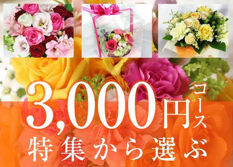 3000円コース