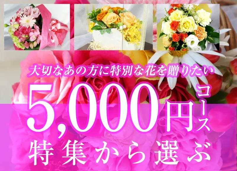 5000円コース