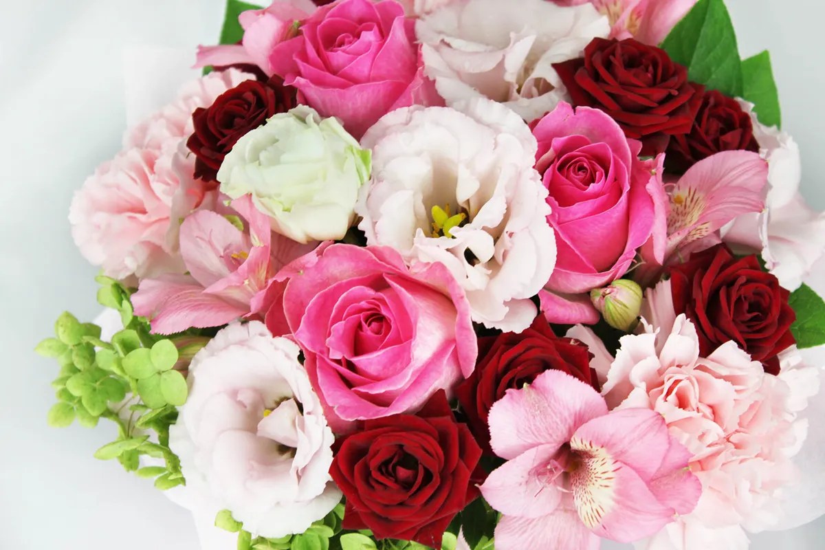 コンセプト画像